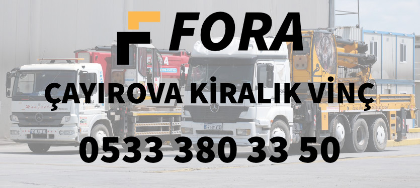 çayırova kiralık vinç